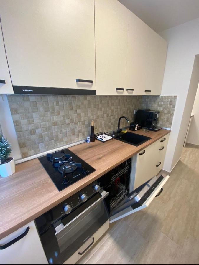 Apartamentul Gaviota Timișoara Zewnętrze zdjęcie