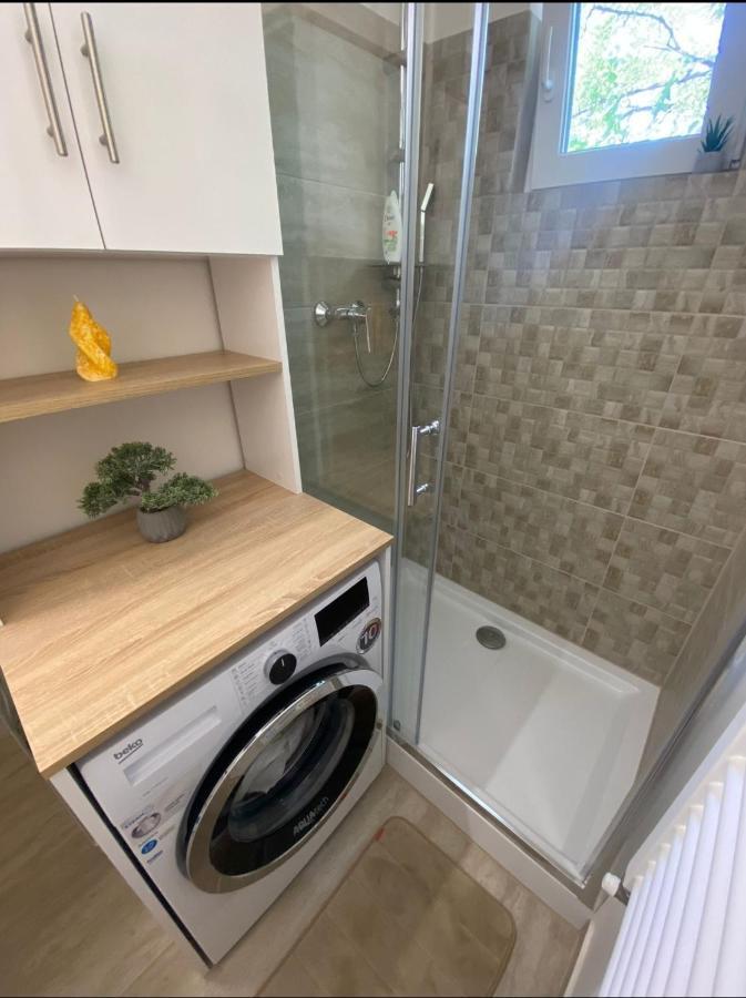 Apartamentul Gaviota Timișoara Zewnętrze zdjęcie
